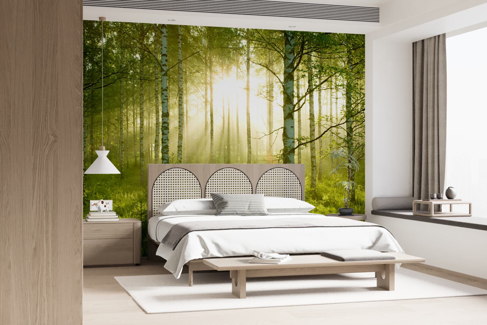 Fototapet Zori în pădurea de mesteceni