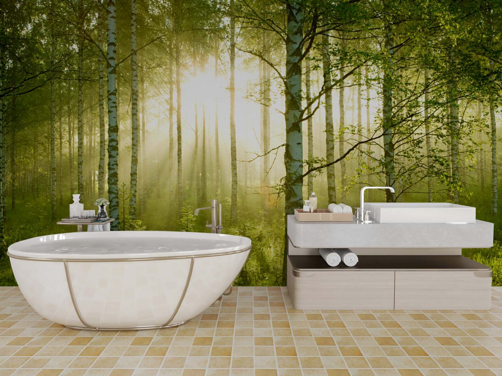 Fototapet Zori în pădurea de mesteceni