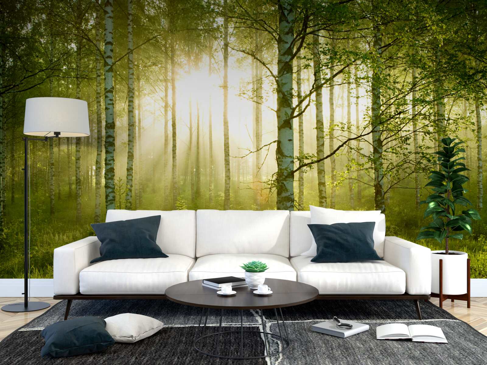 Fototapet Zori în pădurea de mesteceni