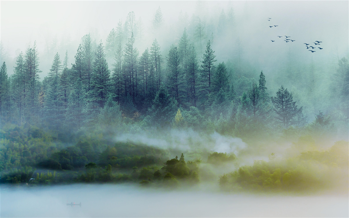 Fototapet liniște fascinantă în pădurea cețoasă