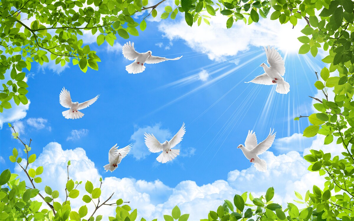 Fototapet porumbei cu rame verzi planează pe cerul albastru