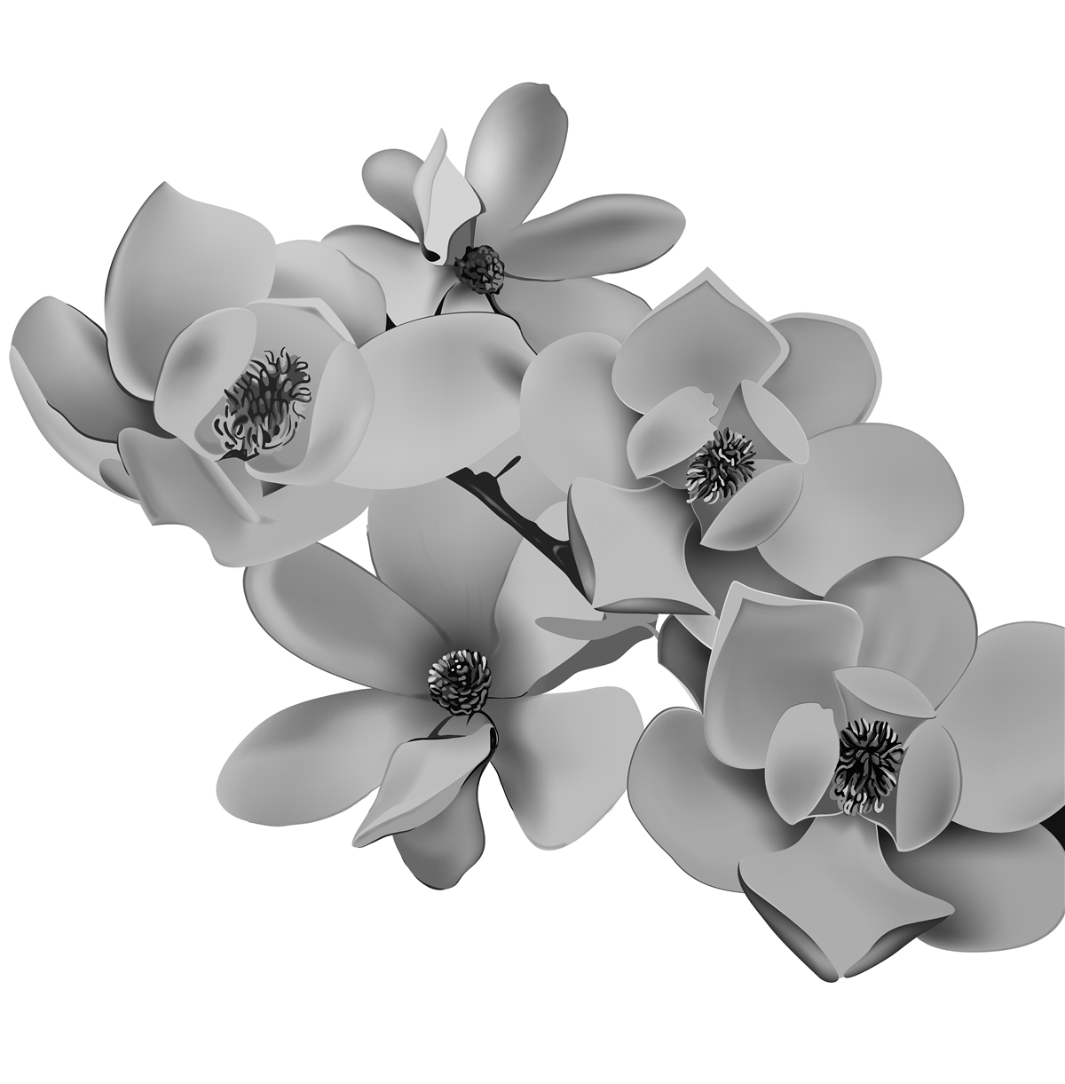 Fototapet flori cărămizii pe un fundal alb pur