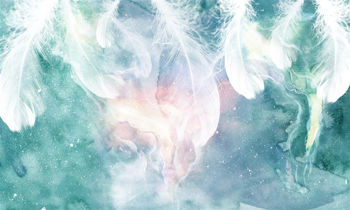 Fototapet fundal cu pene spațiu