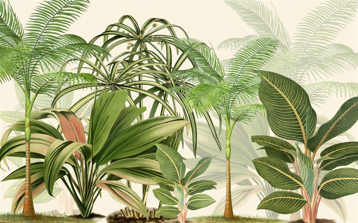 Fototapet copaci tropicali, inclusiv palmieri