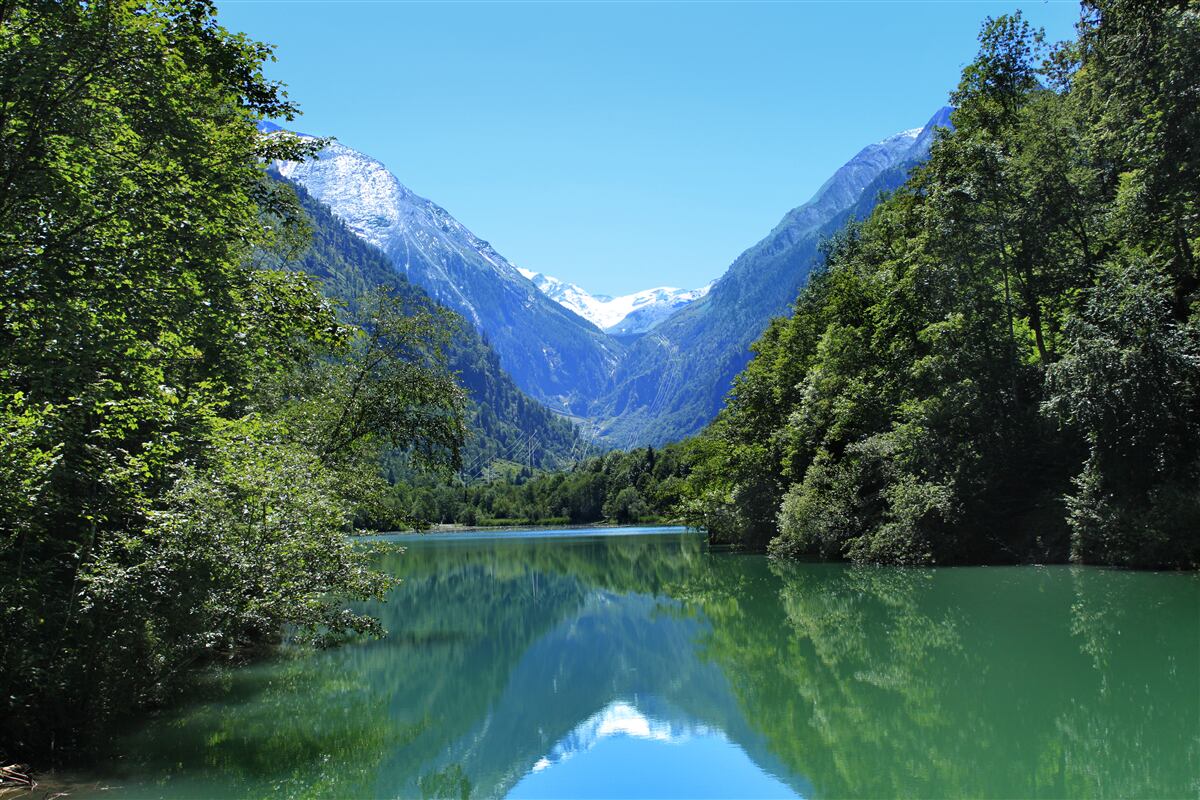 Fototapet un rezervor liniștit ascuns în pădurea deasă de pe versanții munților