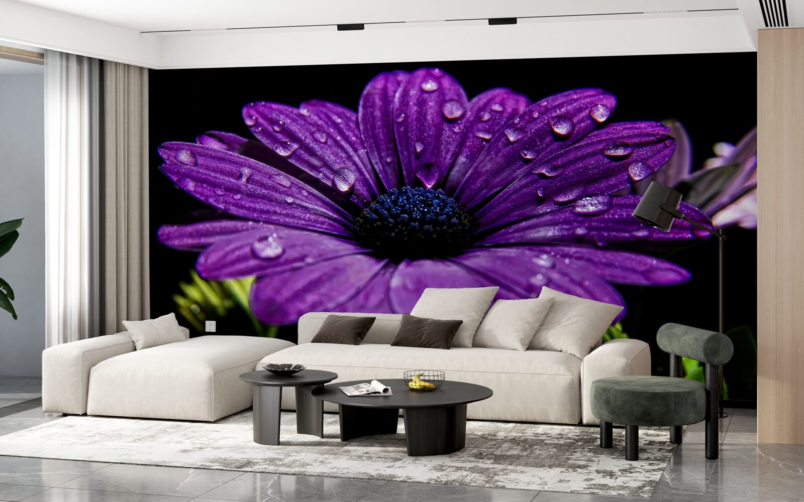 Fototapet picături de apă pe o floare gerbera mov