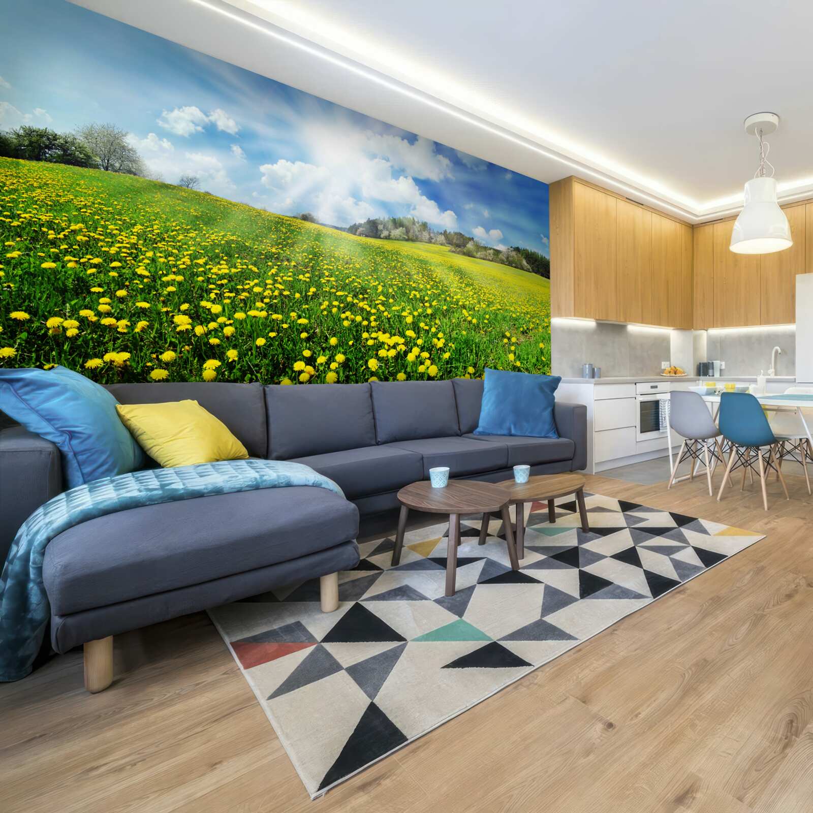 Fototapet spațiu de păpădie