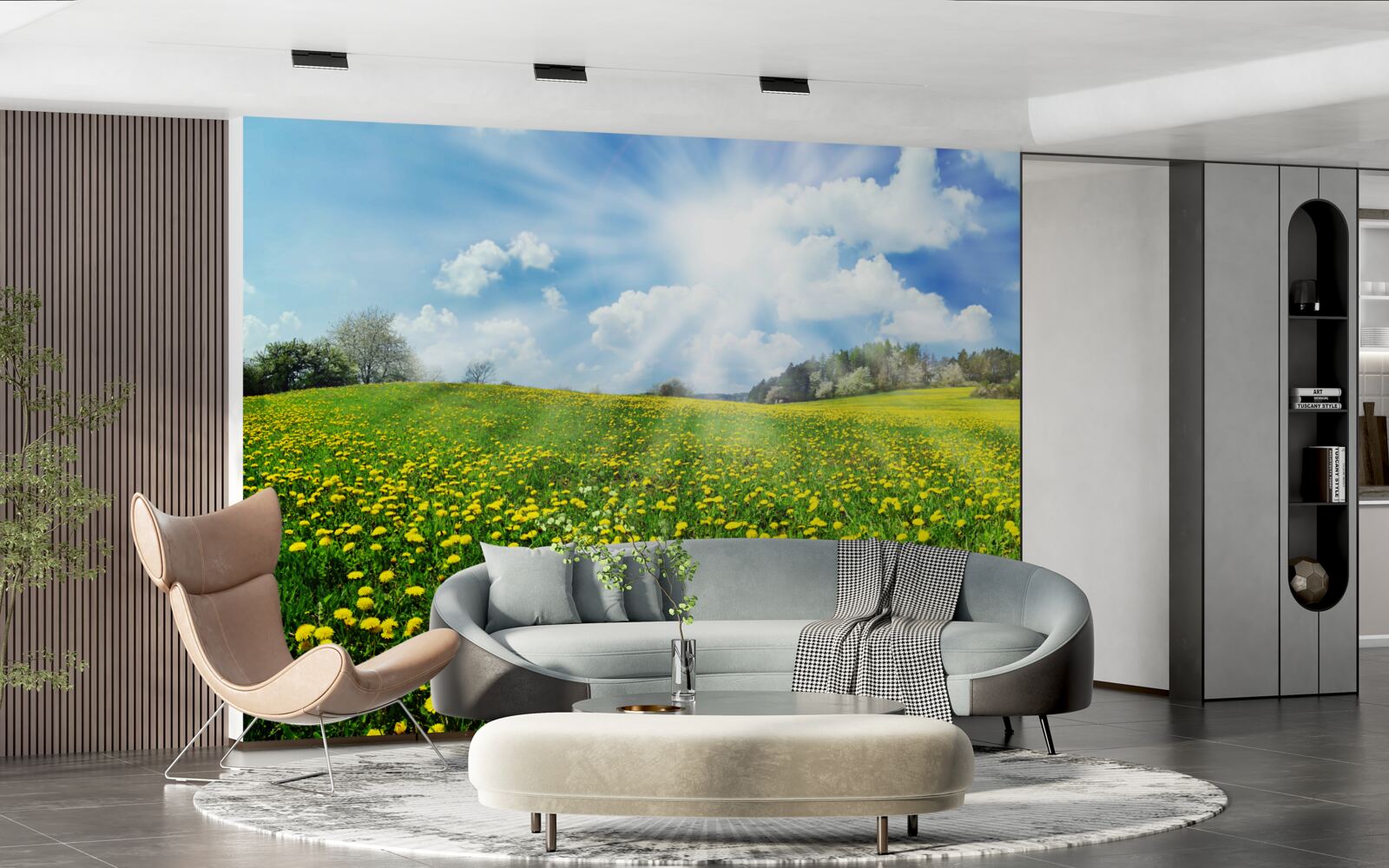 Fototapet spațiu de păpădie