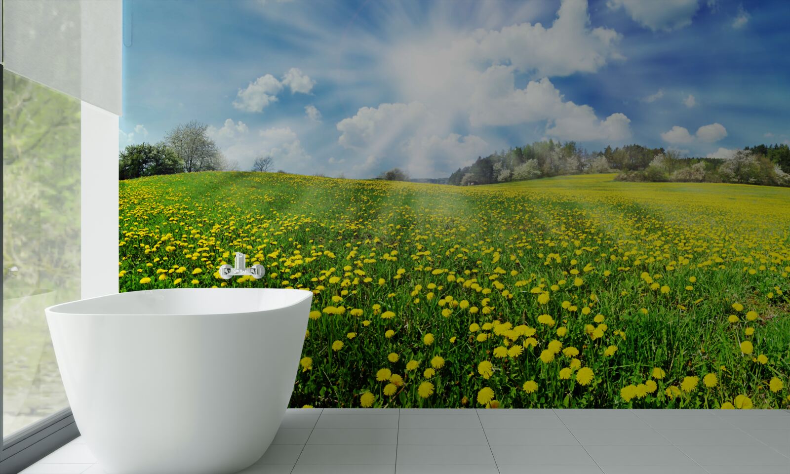 Fototapet spațiu de păpădie