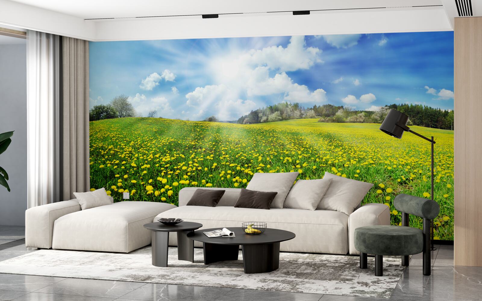 Fototapet spațiu de păpădie