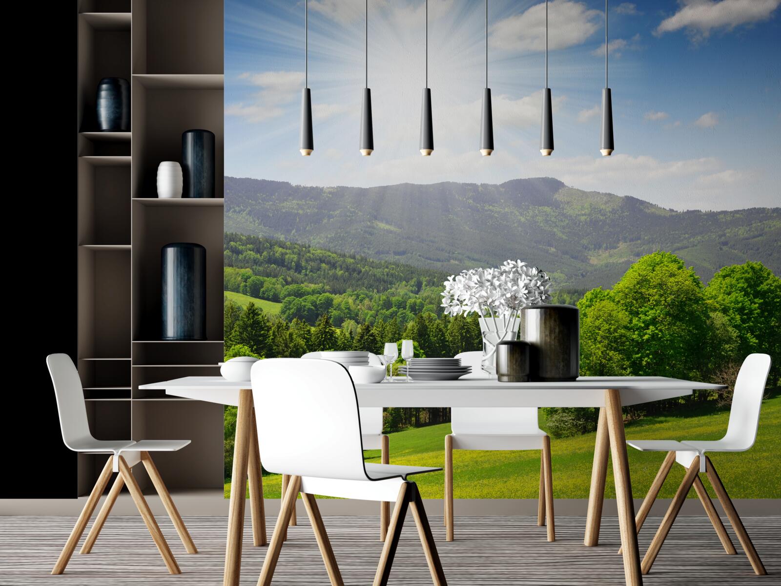 Fototapet soarele este în punctul său cel mai înalt deasupra unei pajiști verzi