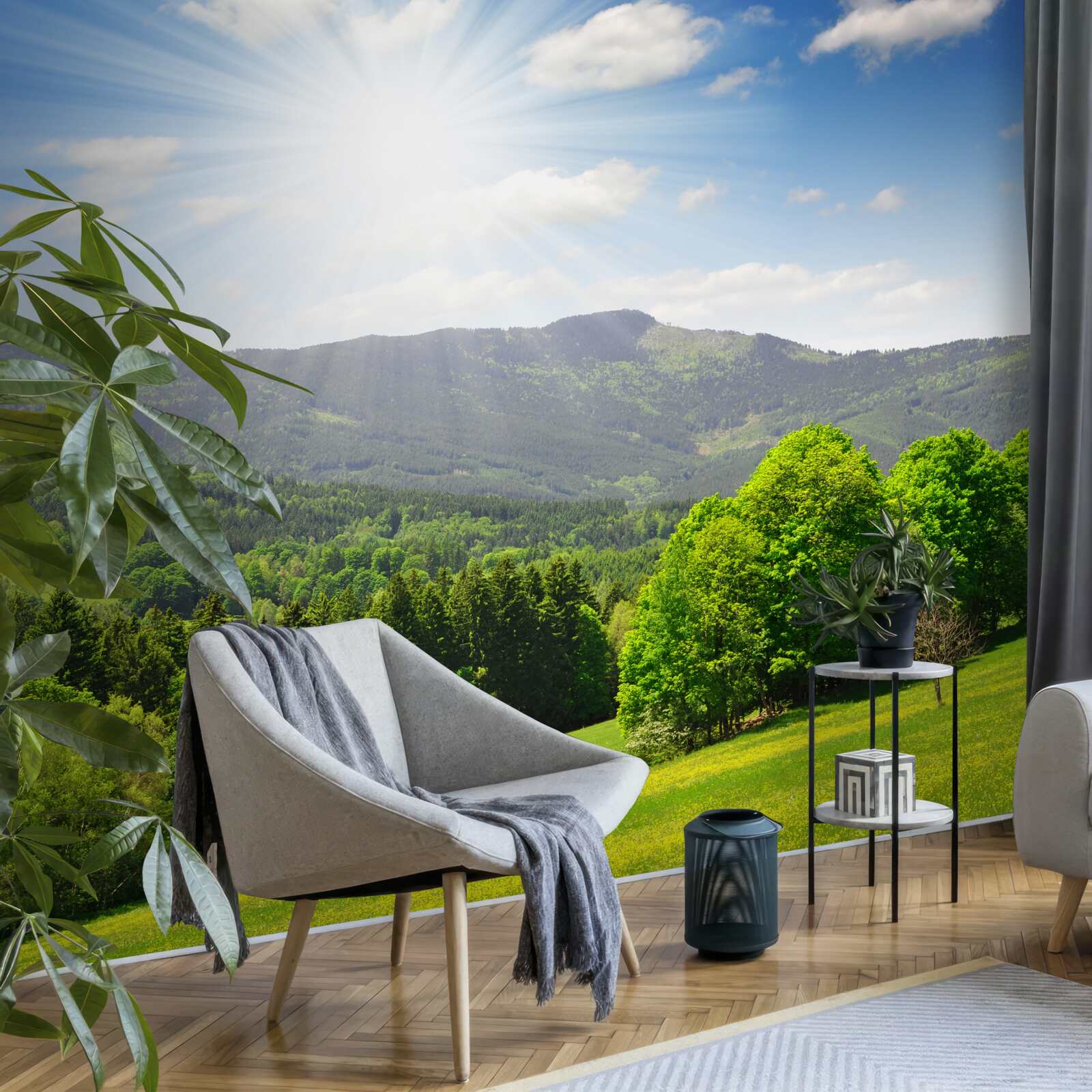 Fototapet soarele este în punctul său cel mai înalt deasupra unei pajiști verzi