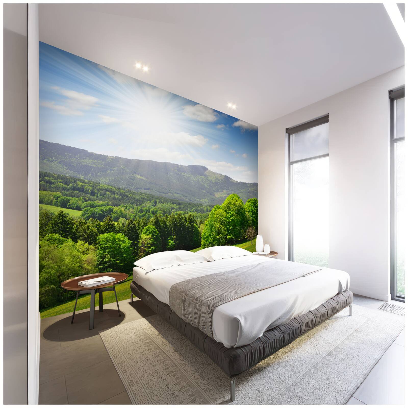 Fototapet soarele este în punctul său cel mai înalt deasupra unei pajiști verzi