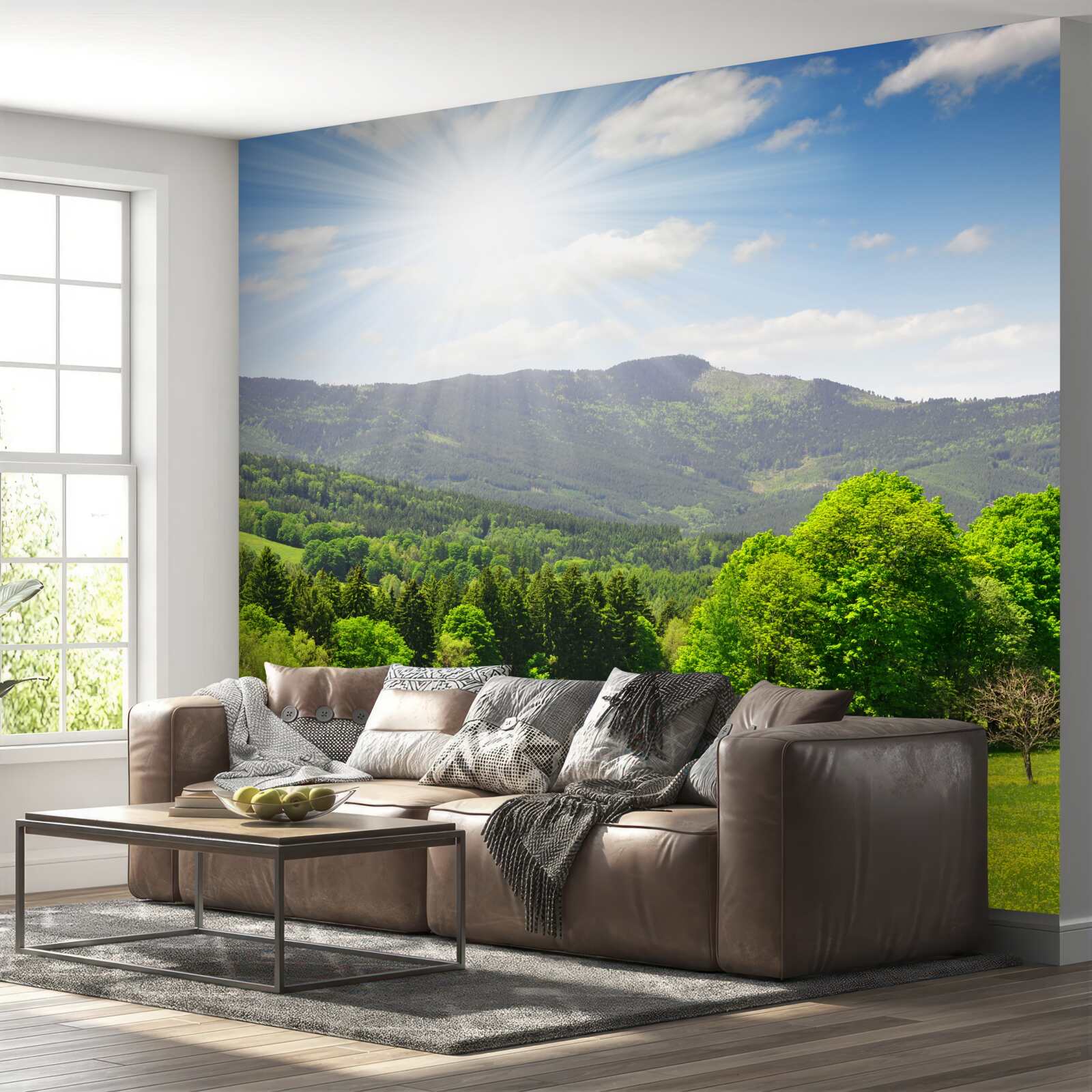 Fototapet soarele este în punctul său cel mai înalt deasupra unei pajiști verzi