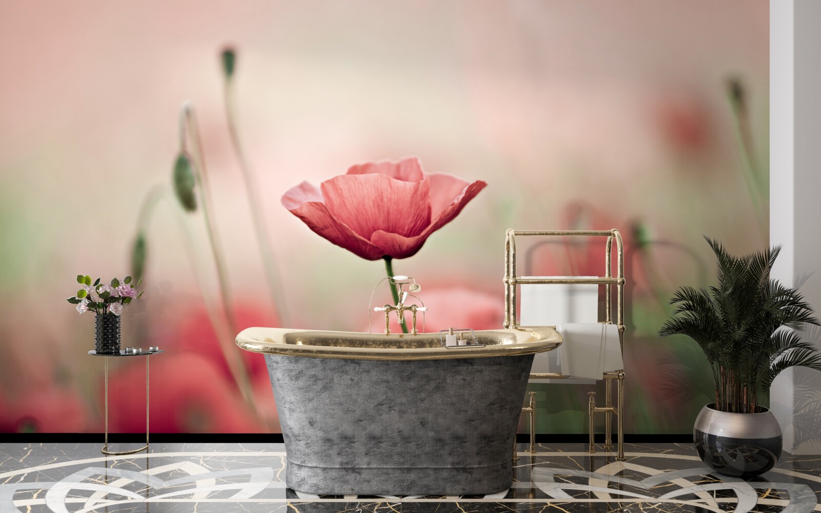 Fototapet maci solitari și vulnerabili