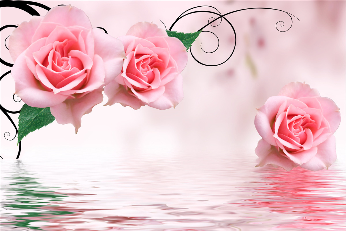 Fototapet reflexia unui trandafir roz în apă