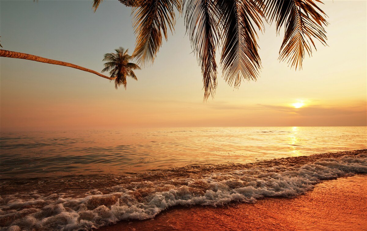 Fototapet insulă tropicală la apus de soare