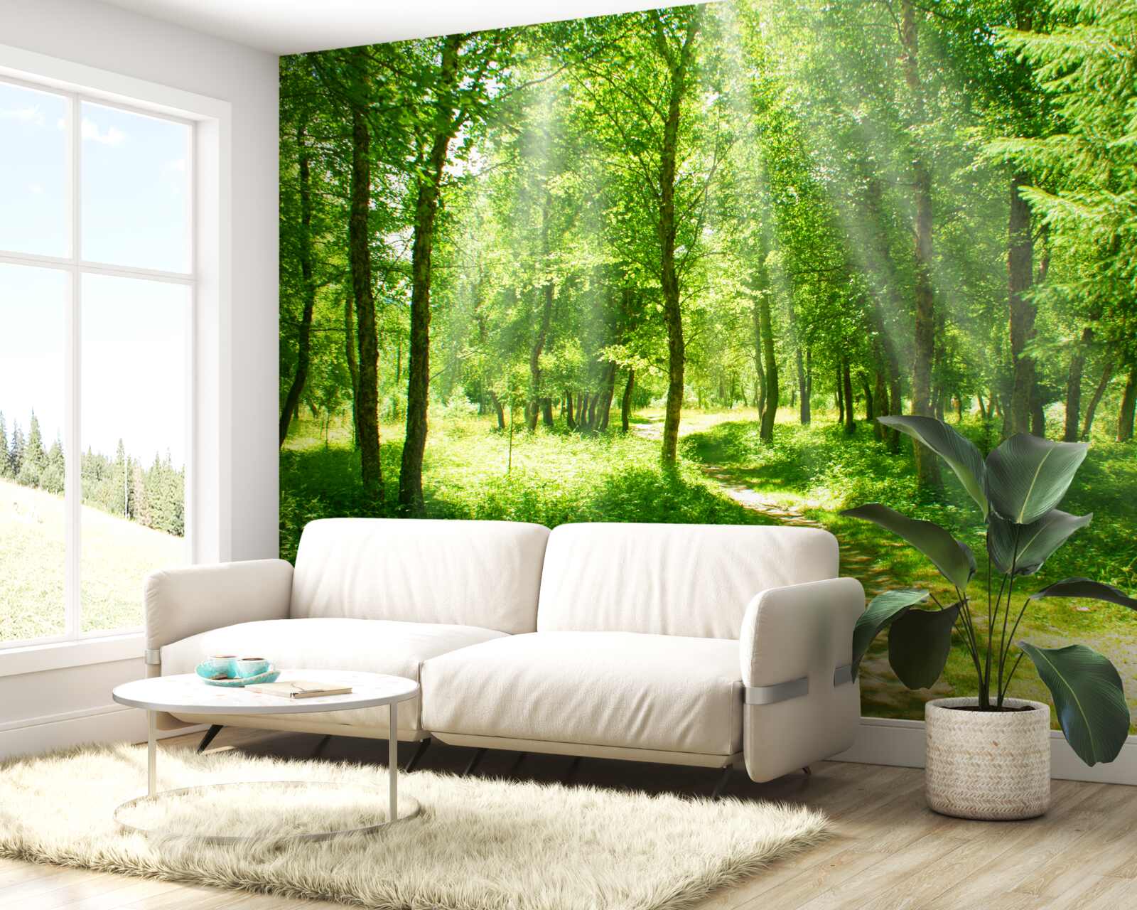 Fototapet razele soarelui strălucesc puternic prin coroanele copacilor din pădure