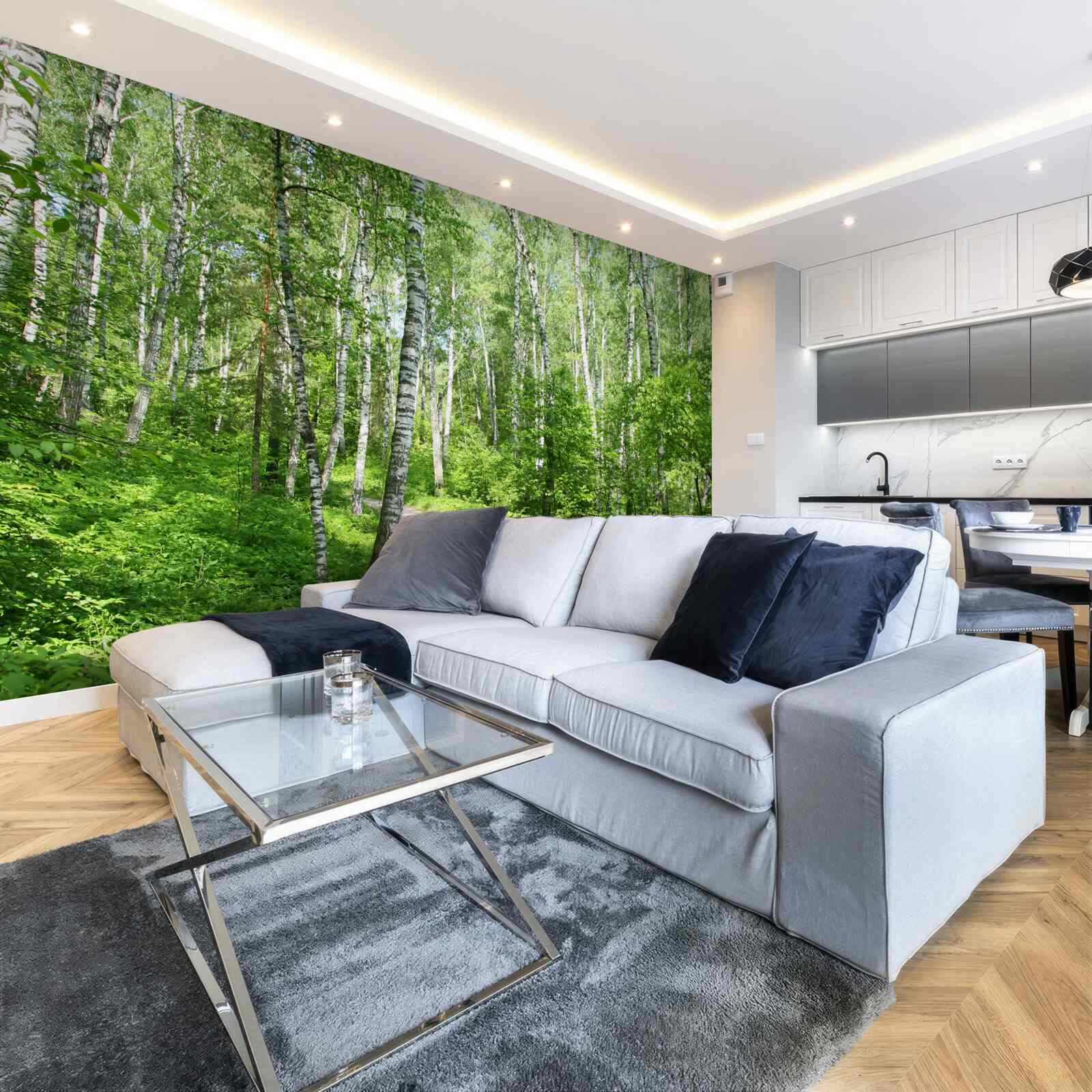 Fototapet Cărare prin pădurea de mesteceni în timpul sezonului estival