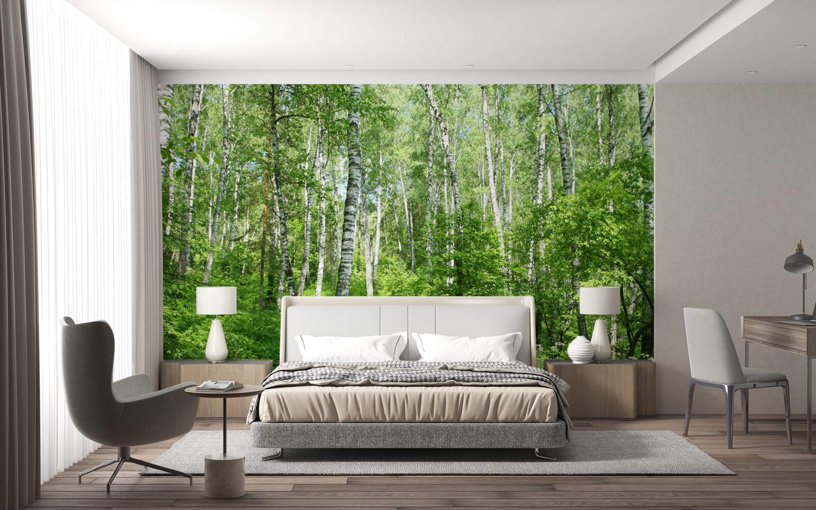 Fototapet Cărare prin pădurea de mesteceni în timpul sezonului estival