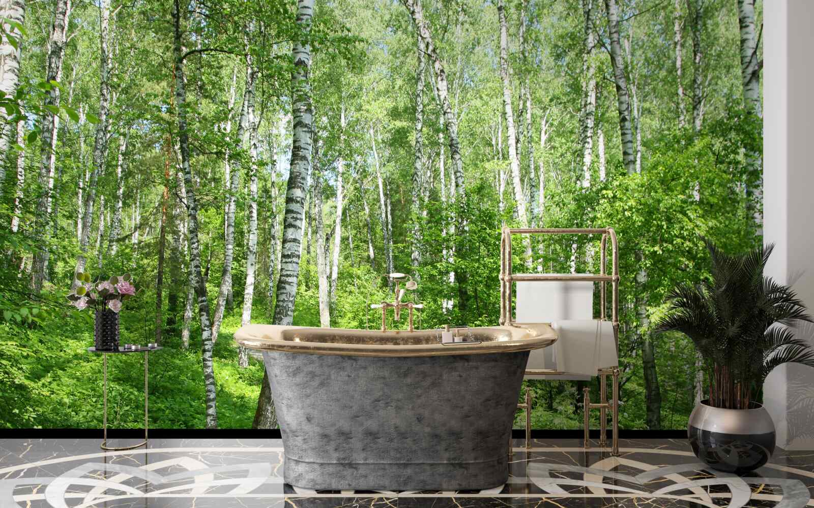 Fototapet Cărare prin pădurea de mesteceni în timpul sezonului estival