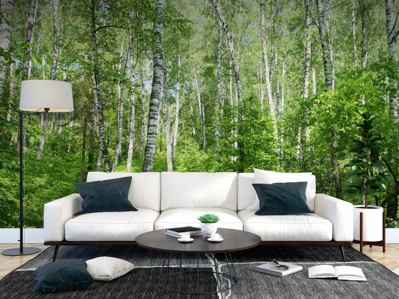 Fototapet Cărare prin pădurea de mesteceni în timpul sezonului estival