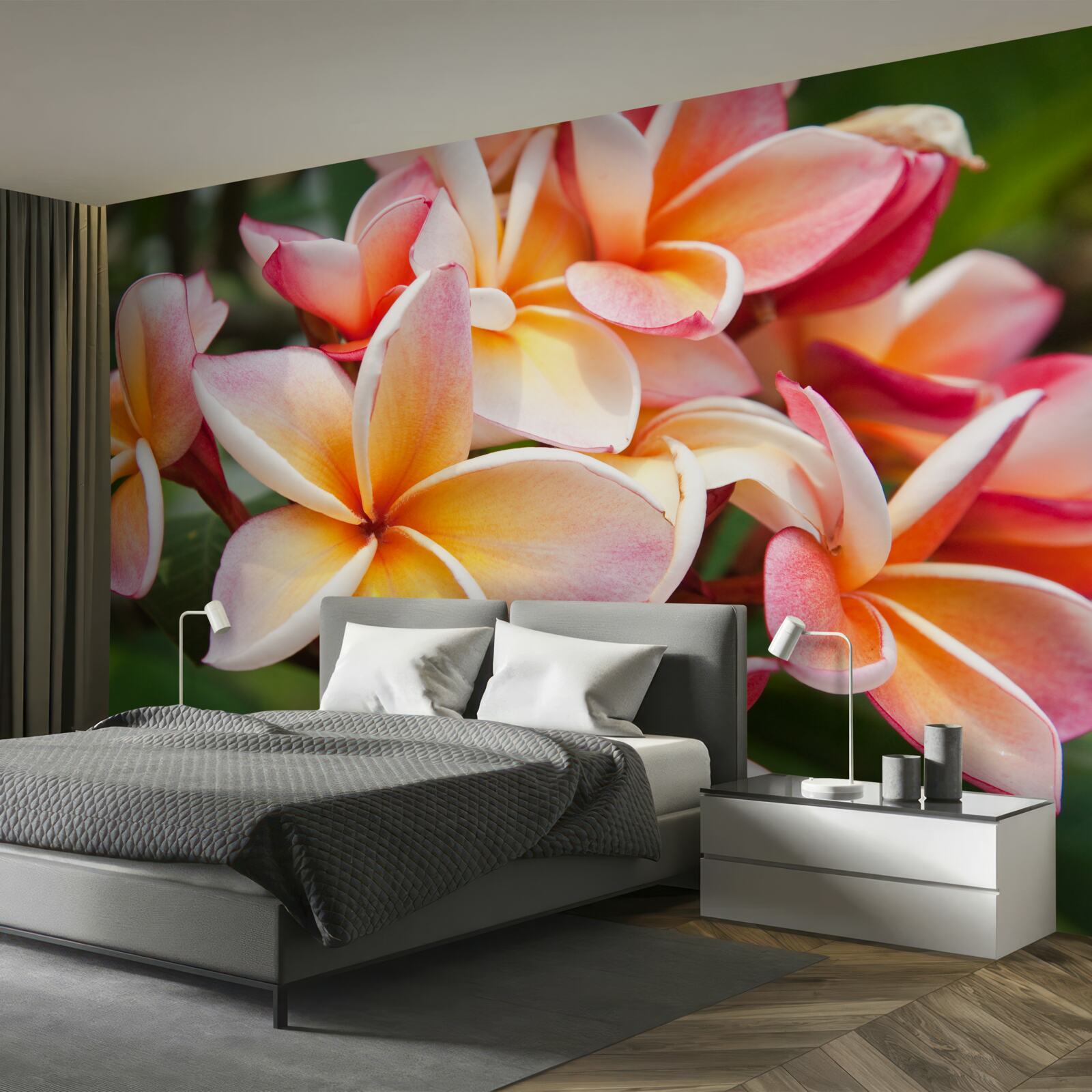 Fototapet frangipani cu flori atractive