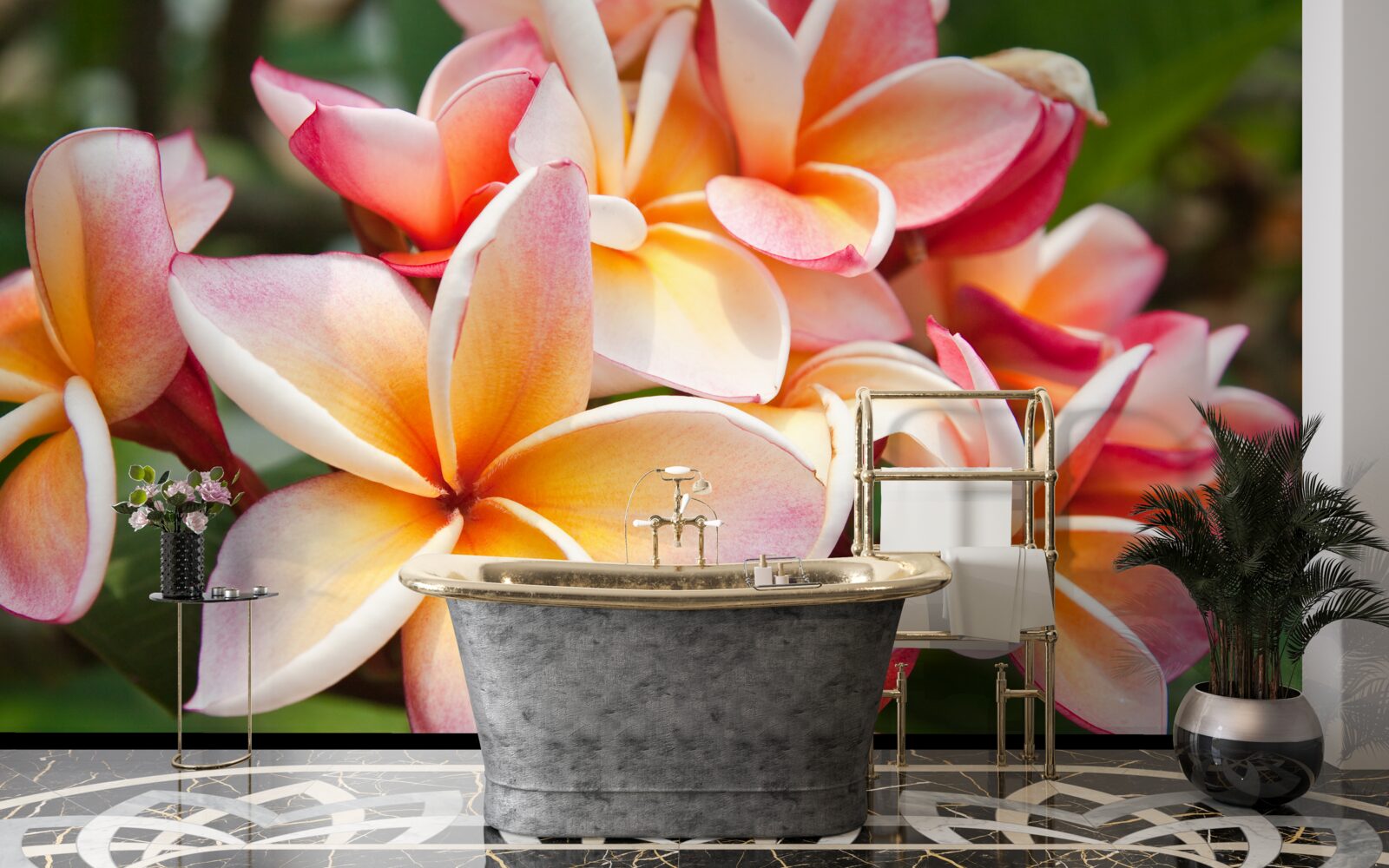 Fototapet frangipani cu flori atractive