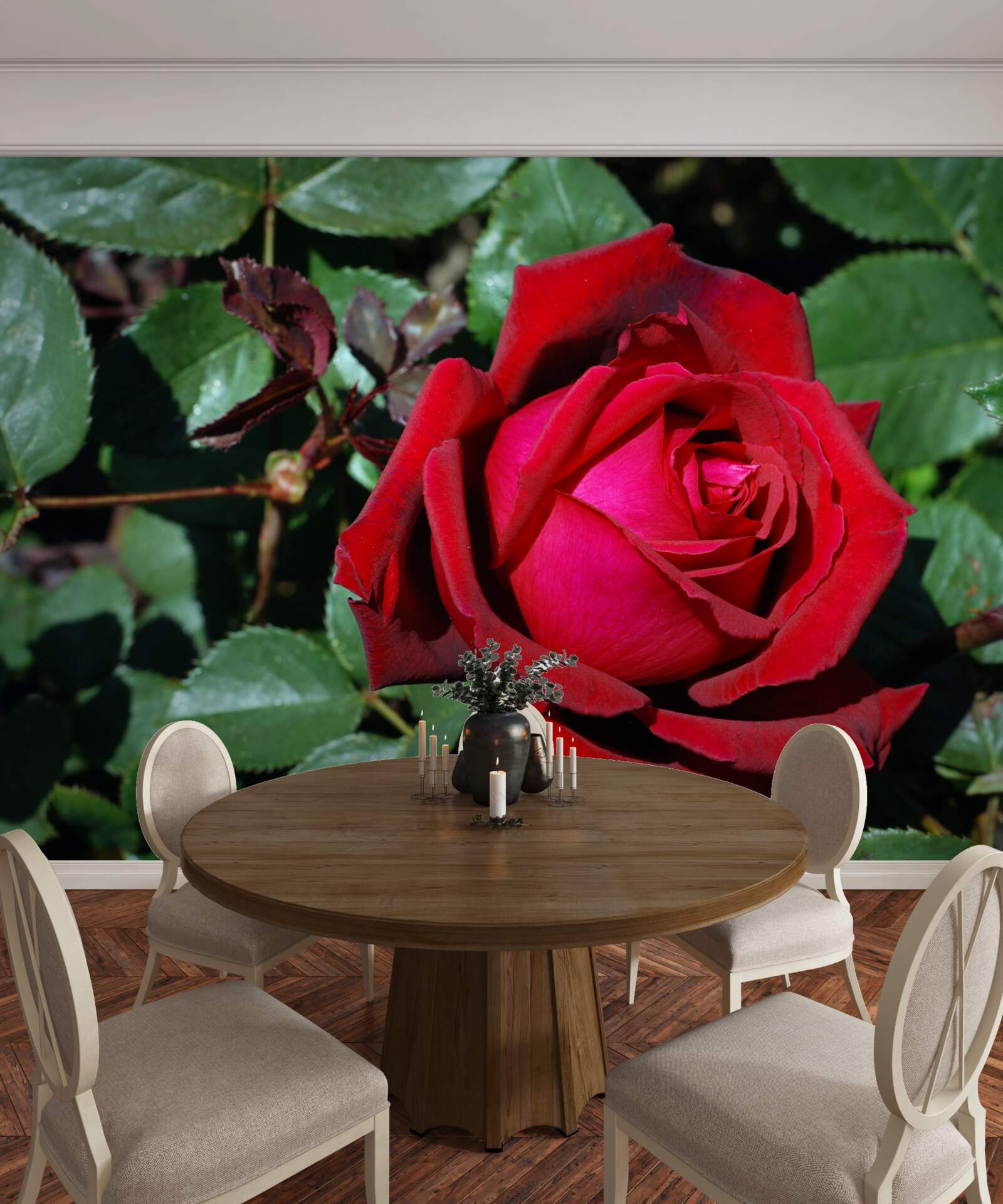 Fototapet un trandafir stacojiu a înflorit în grădină