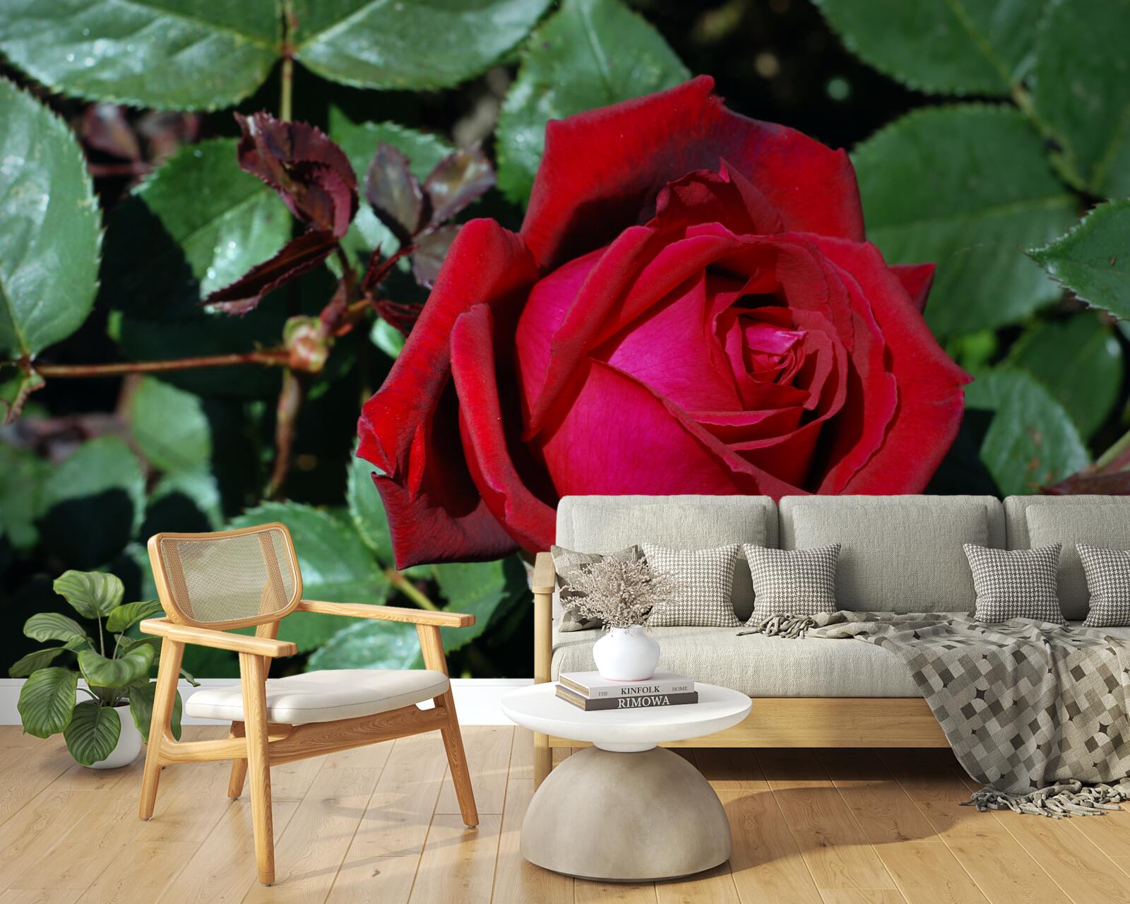 Fototapet un trandafir stacojiu a înflorit în grădină