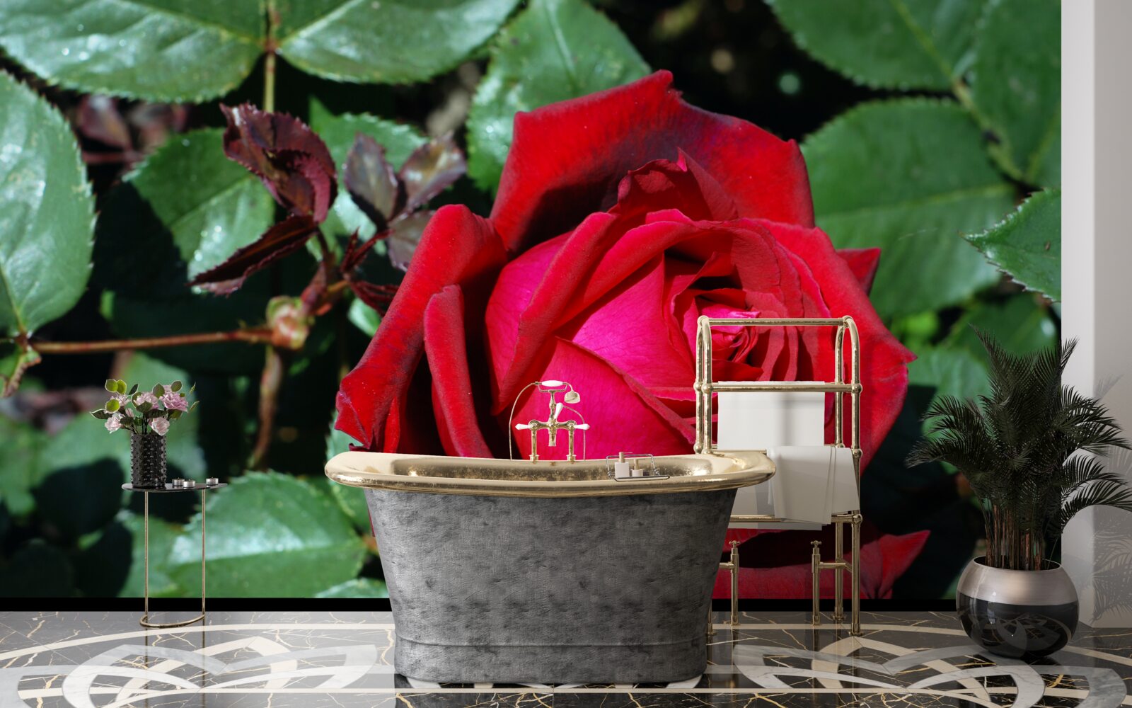 Fototapet un trandafir stacojiu a înflorit în grădină