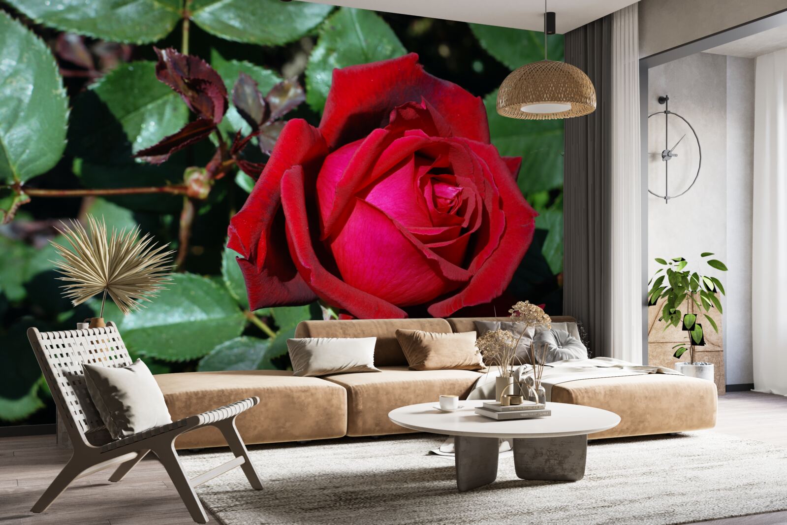 Fototapet un trandafir stacojiu a înflorit în grădină