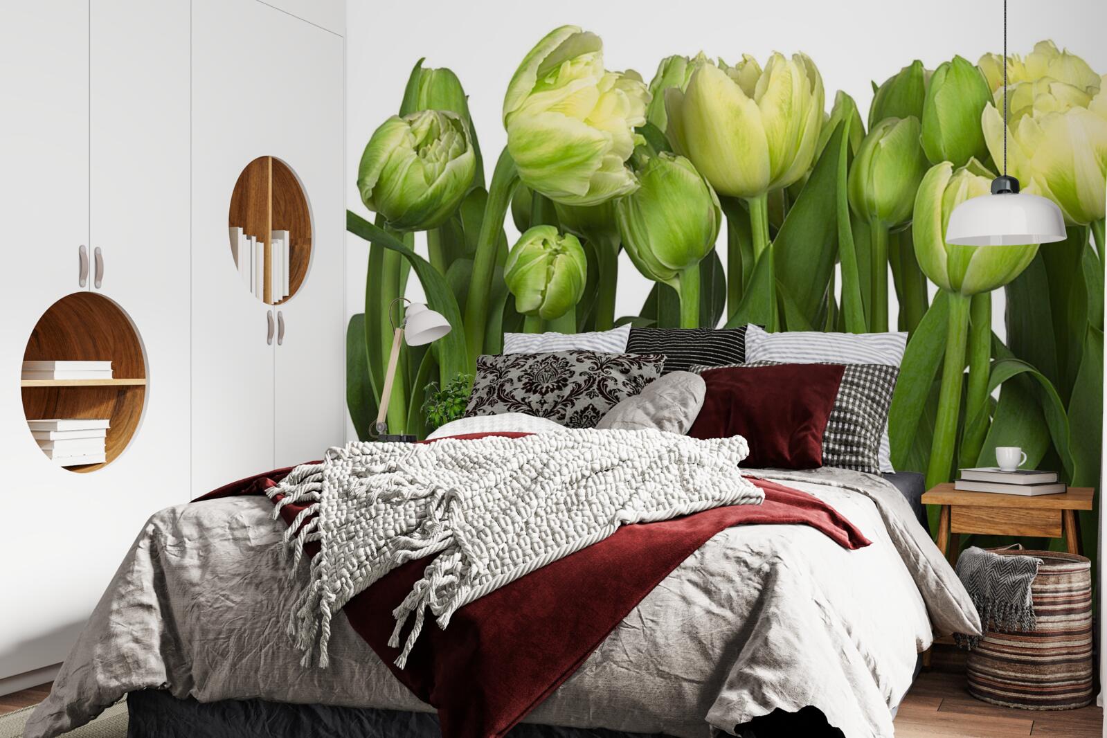 Fototapet set de lalele de lumină parțial deschise