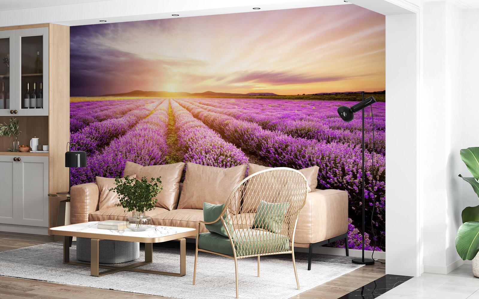 Fototapet apus de soare pe un câmp de lavandă