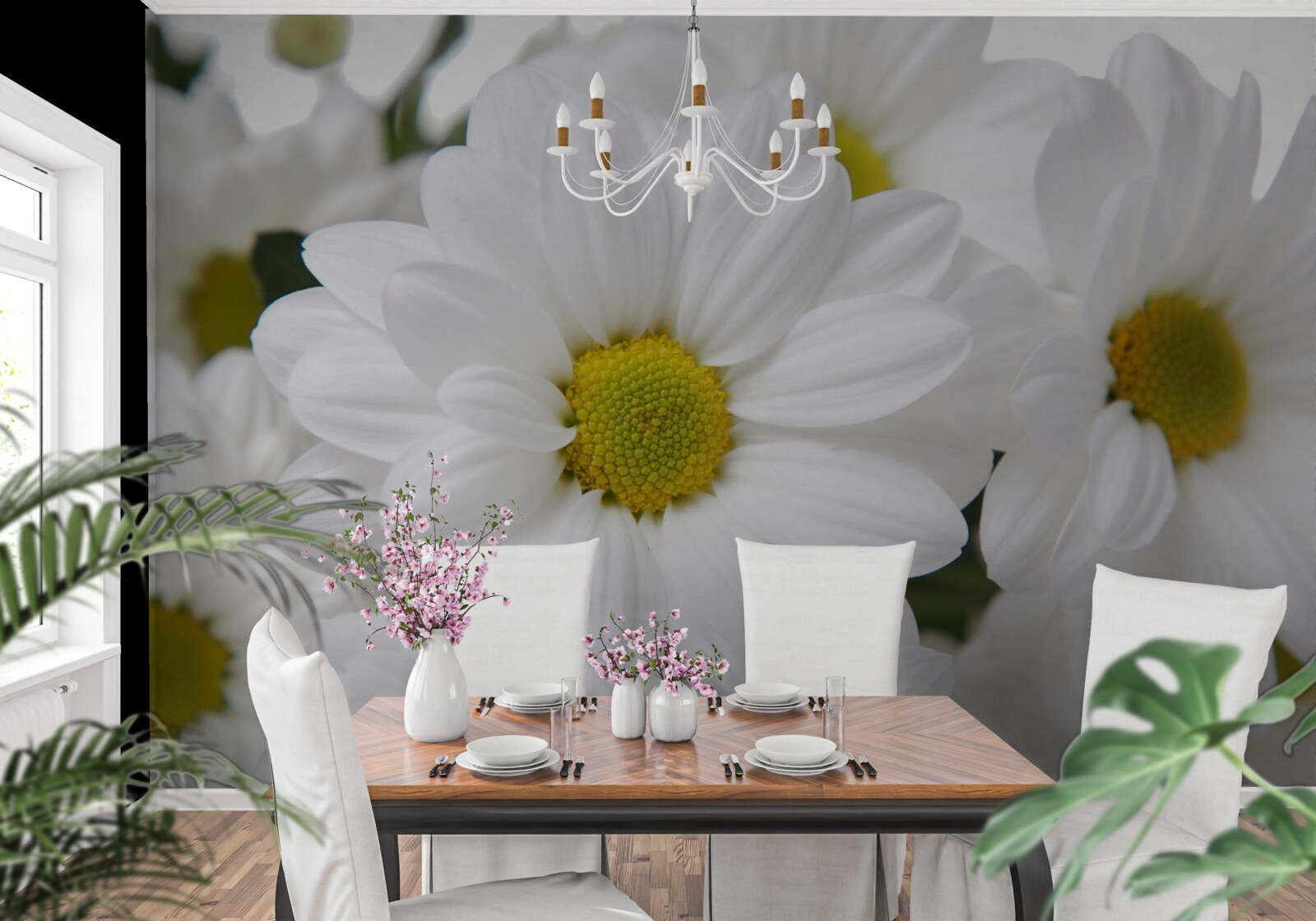 Fototapet compoziție de crizanteme albe ca zăpada