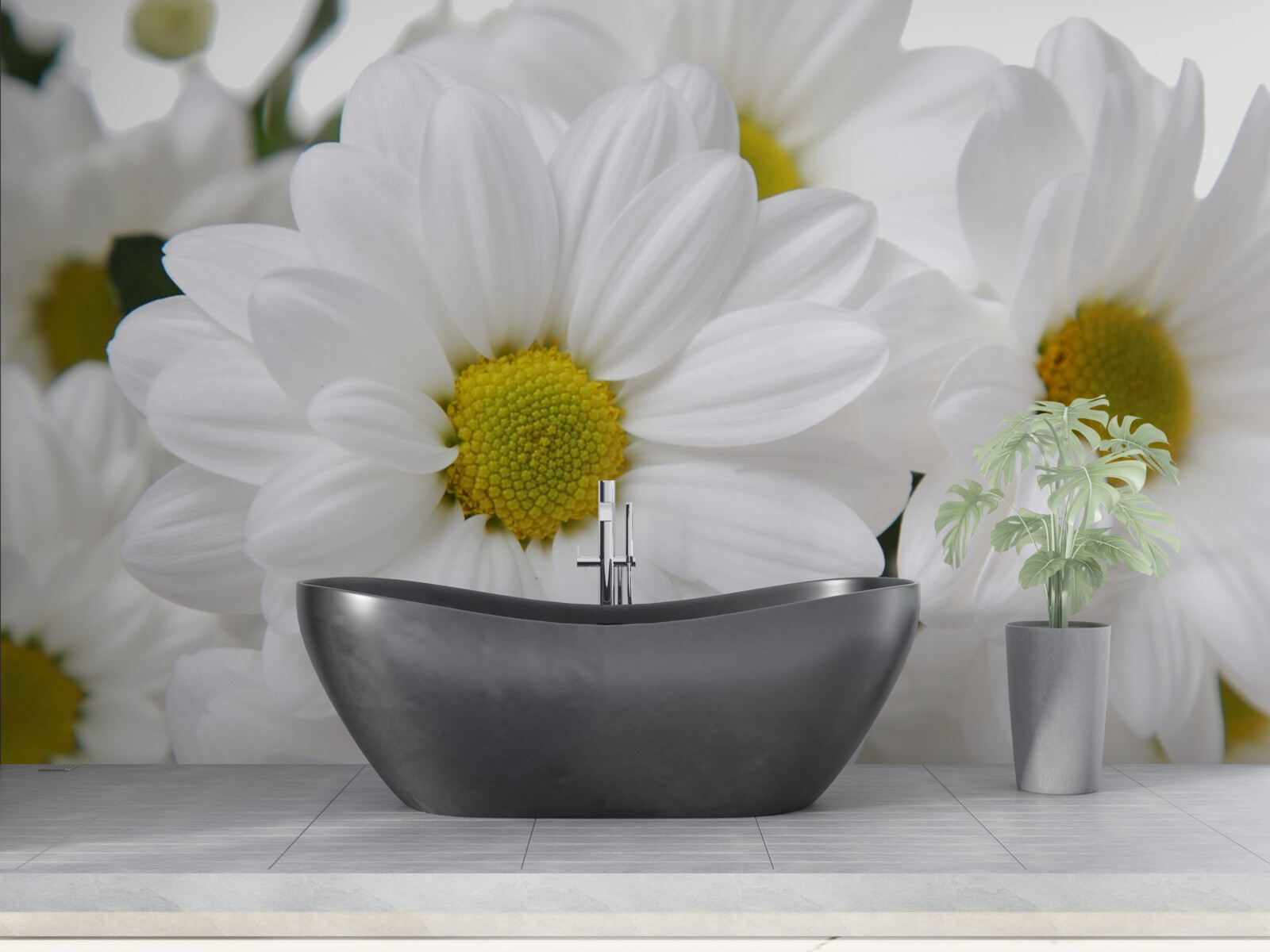 Fototapet compoziție de crizanteme albe ca zăpada