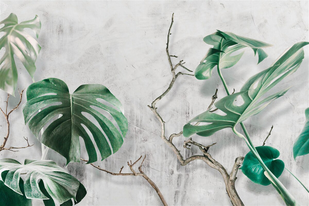 Fototapet monștri tropicali cu ramuri verzi