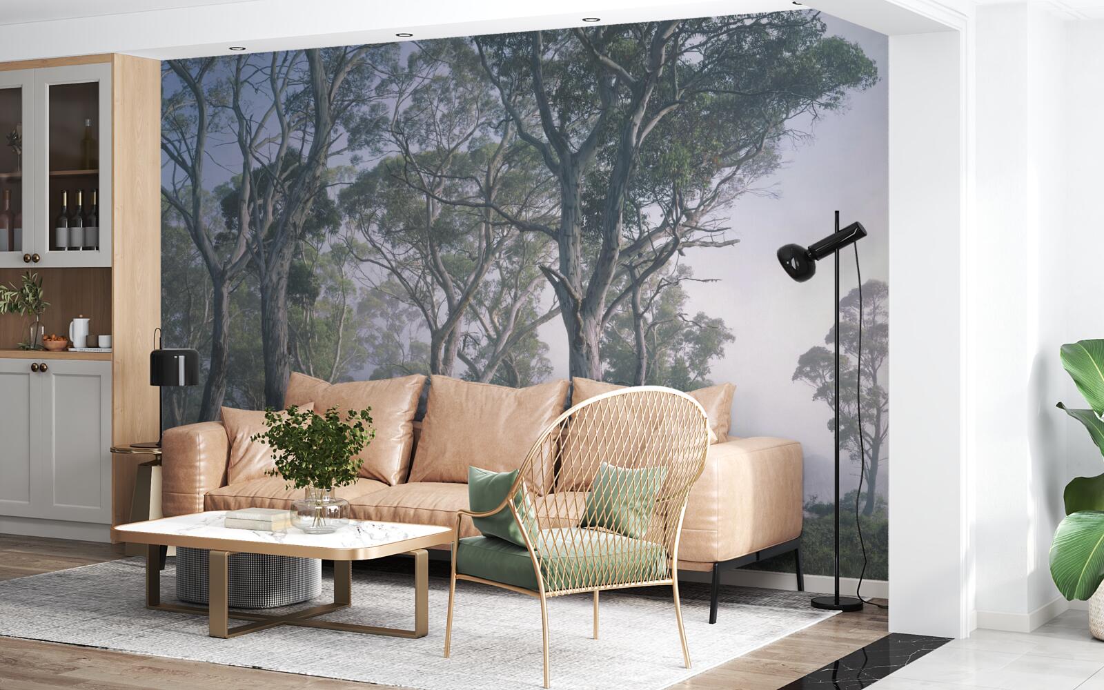 Fototapet dimineața se trezește într-o pădure cețoasă