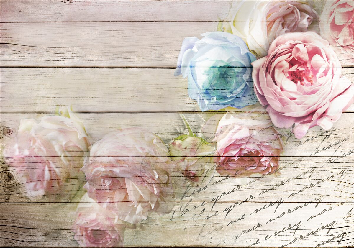 Fototapet set de trandafiri asemănători bujorilor