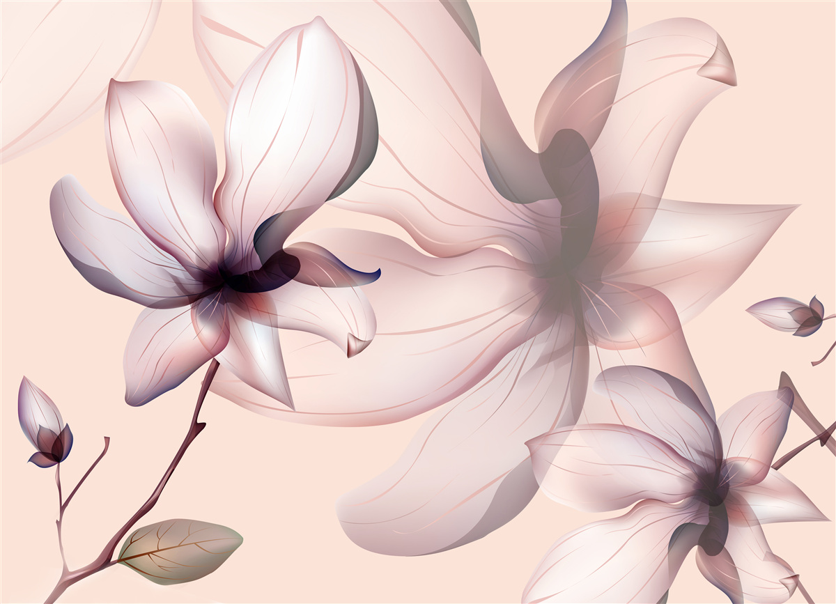 Fototapet fundal luminos cu magnolii