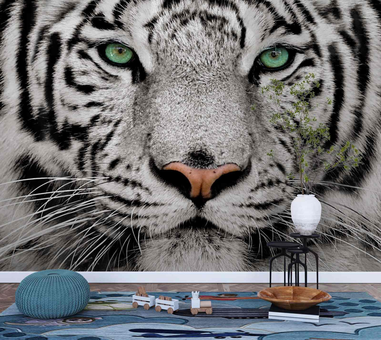 Fototapet imaginea unui tigru alb