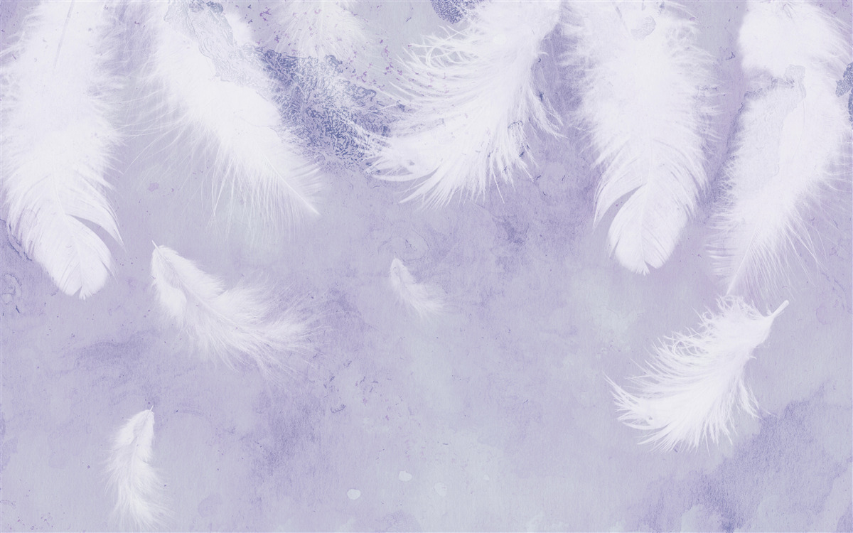 Fototapet pene albe plutitoare