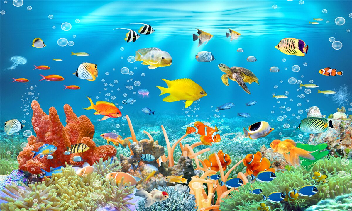 Fototapet lumea fascinantă de sub apă