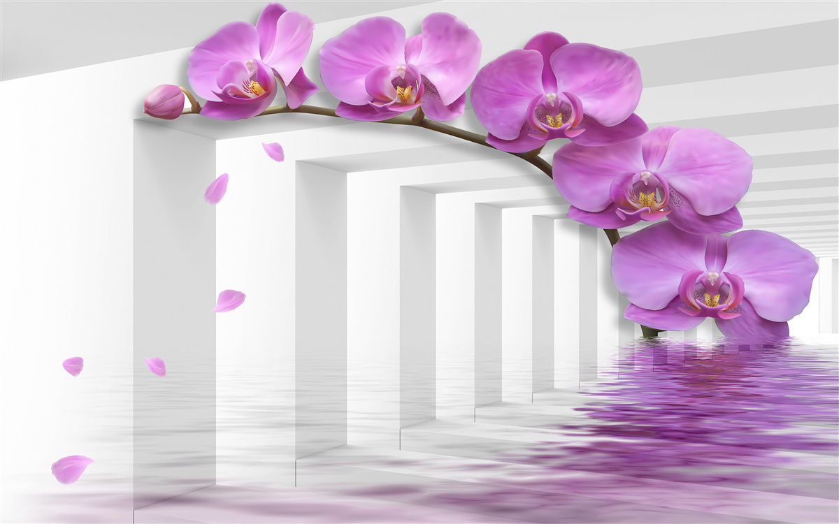 Fototapet orhidee liliac pe o ramură înconjurată de arcuri albe