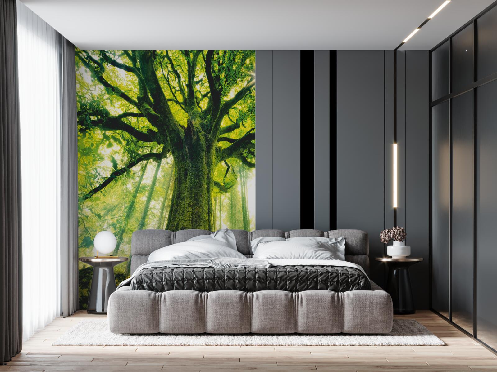 Fototapet copacul vieții în pădurea de dimineață