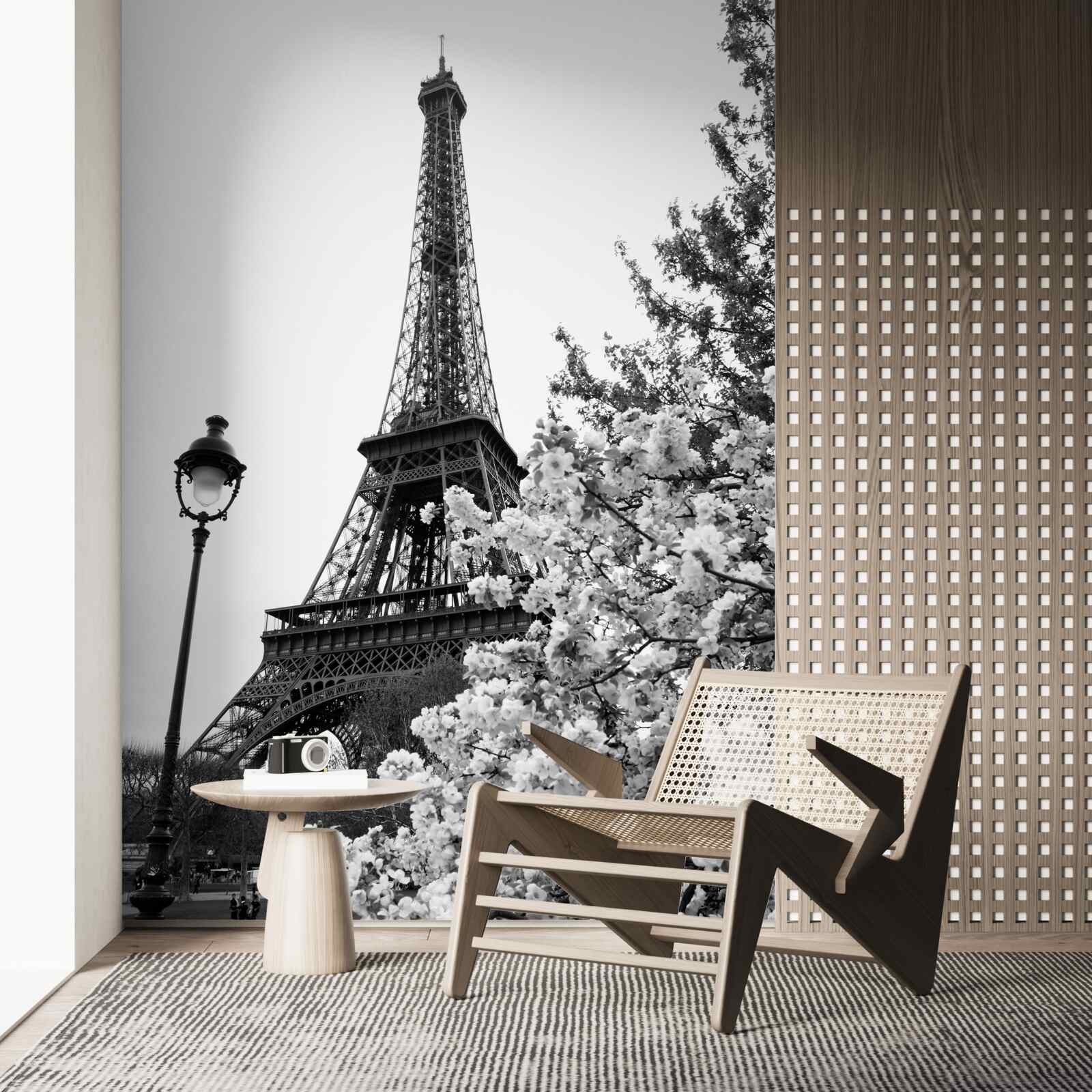 Fototapet turnul eiffel în alb și negru