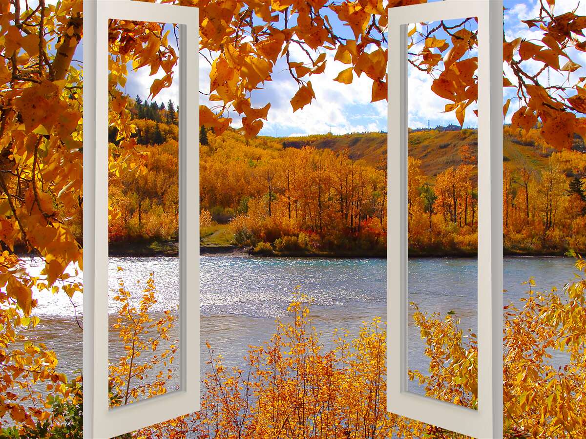 Fototapet vedere a pădurii de toamnă de la fereastră