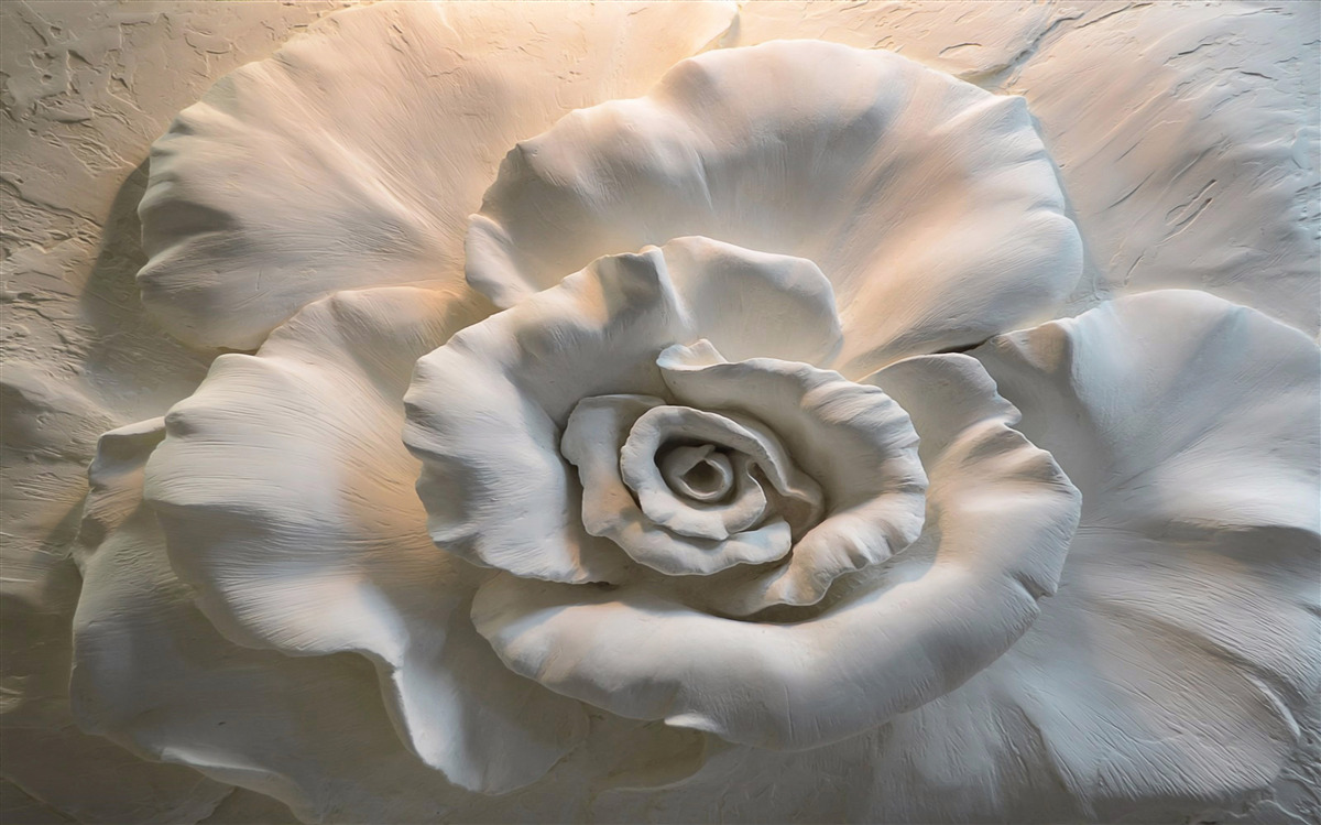 Fototapet prim-plan al unui trandafir alb uriaș