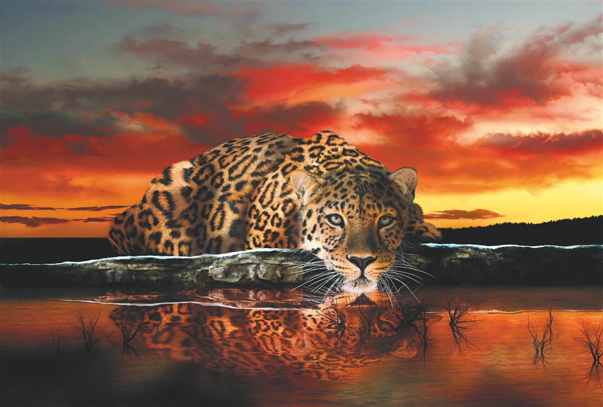 Fototapet imprimeu leopard pe un fundal de apus de soare