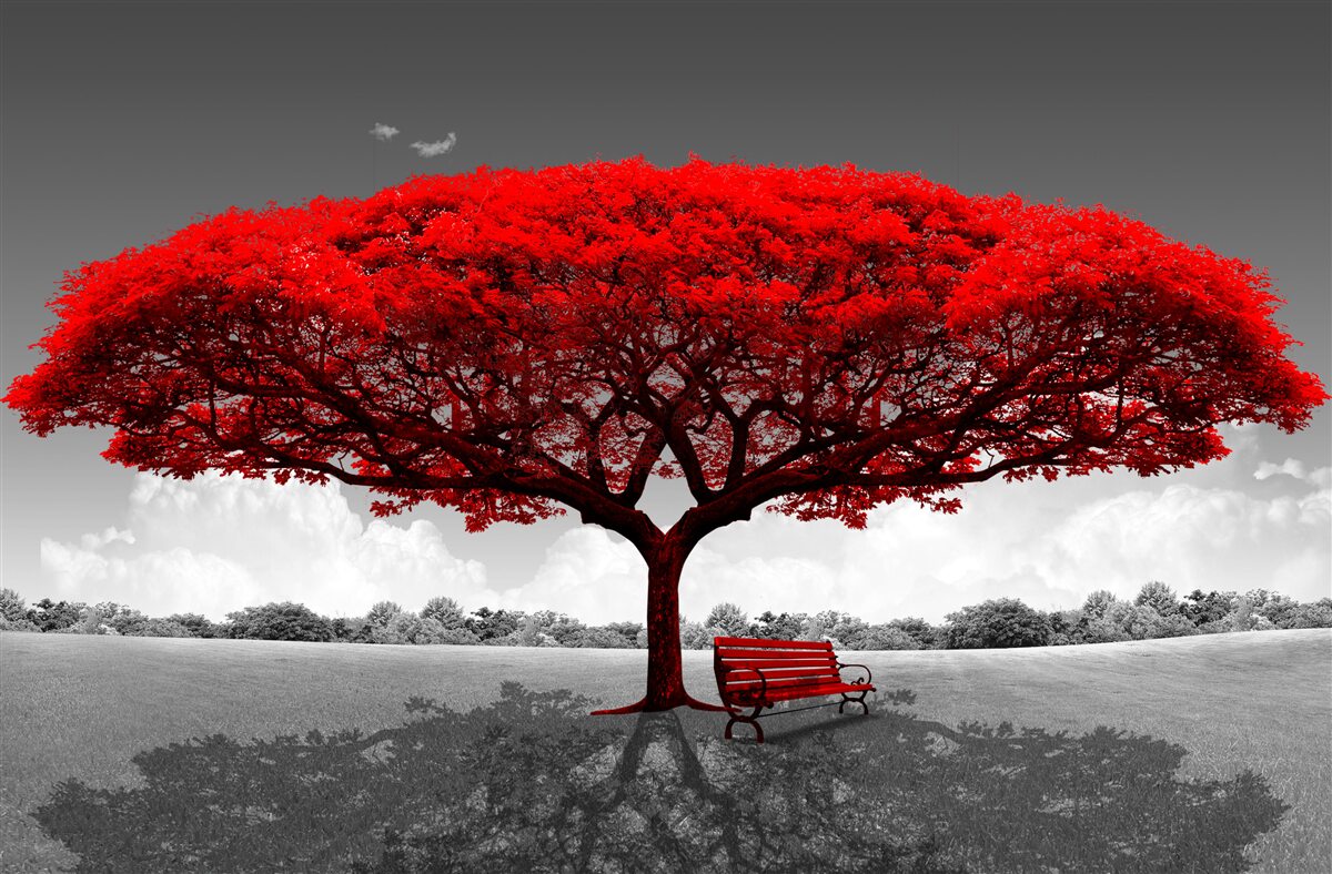Fototapet Viața este un copac roșu într-un luminiș gri